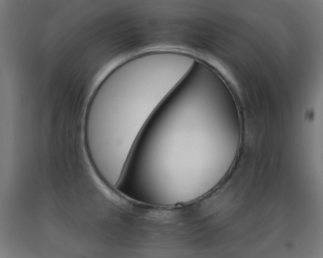 X0000093231237200709261502
