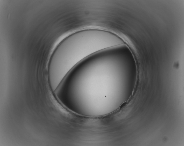 X0000093231238200709261502