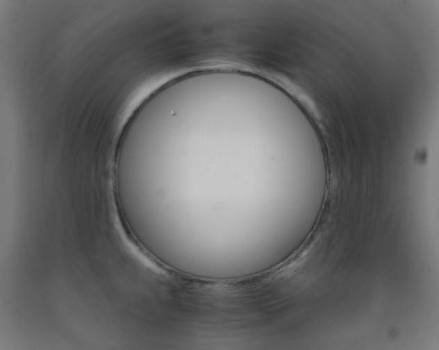 X0000093231239200709261502