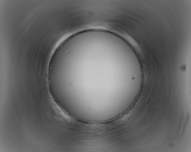 X0000093231240200709261502