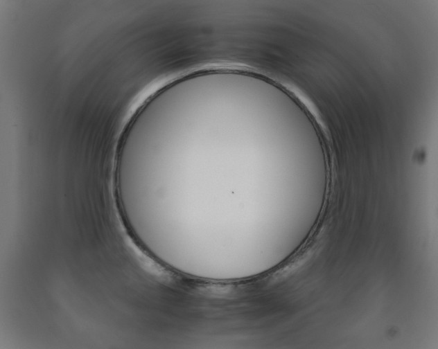 X0000093231245200709261502