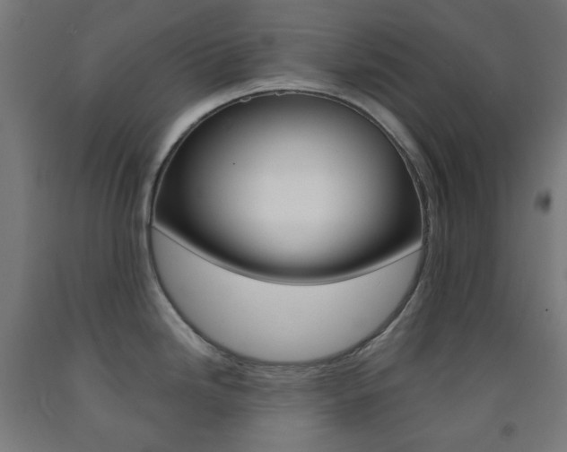 X0000093231246200709261502