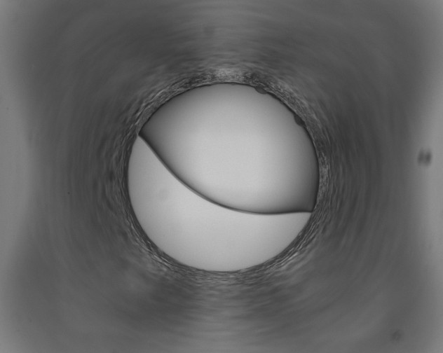 X0000093231249200709261502
