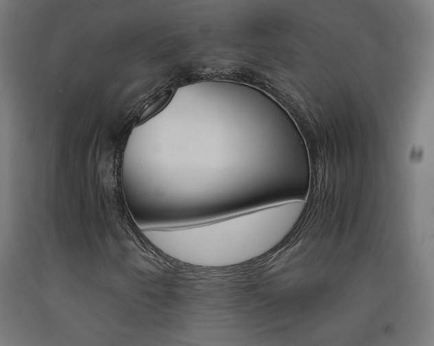 X0000093231250200709261502