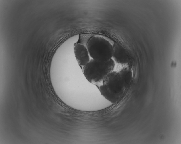 X0000093231251200709261502