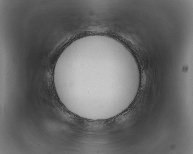 X0000093231254200709261502