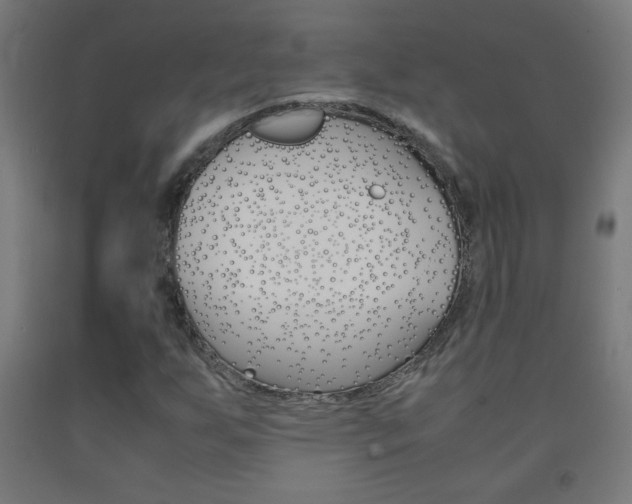 X0000093231255200709261502