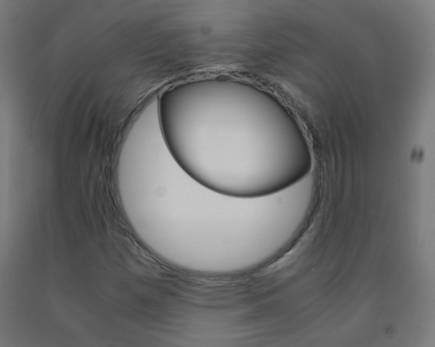 X0000093231257200709261502