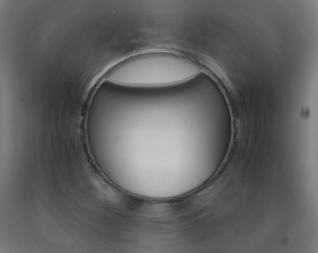 X0000093231260200709261502