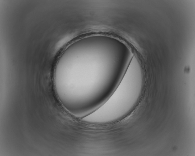X0000093231261200709261502