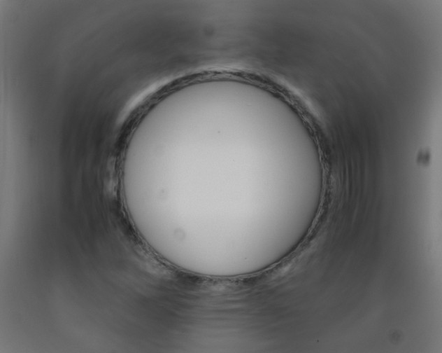 X0000093231262200709261502