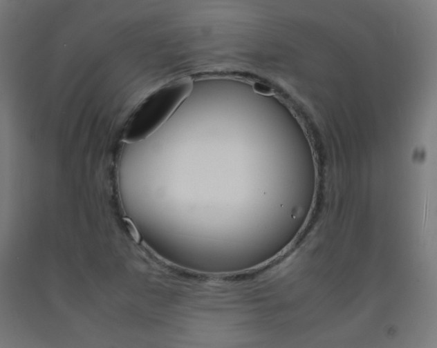X0000093231265200709261502
