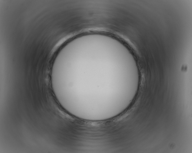X0000093231266200709261502
