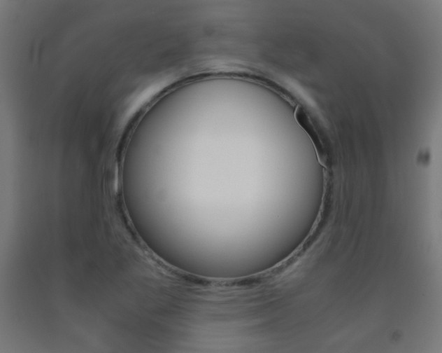 X0000093231269200709261502