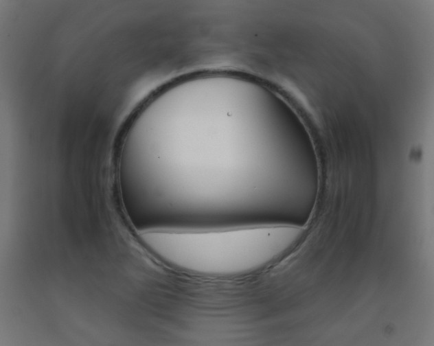 X0000093231270200709261502