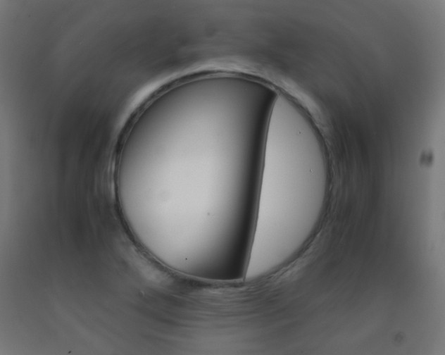 X0000093231272200709261501