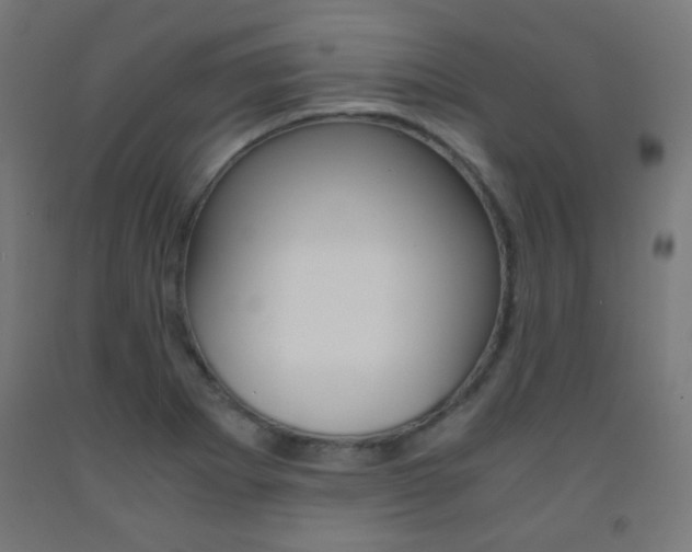 X0000093231273200709261501