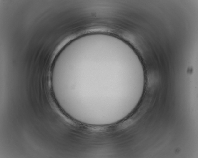 X0000093231274200709261501