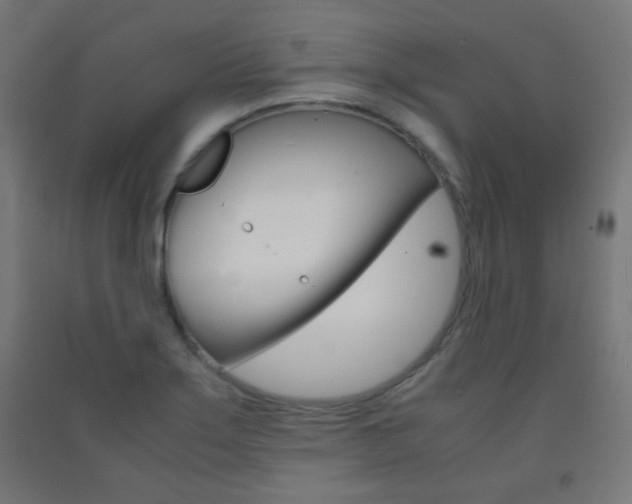 X0000093231275200709261501