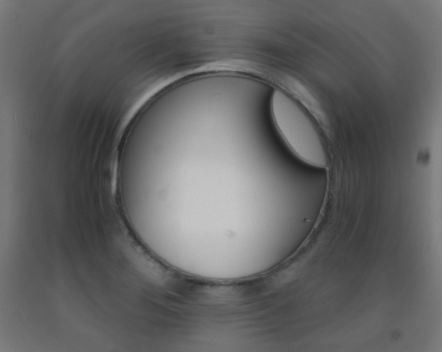 X0000093231276200709261501