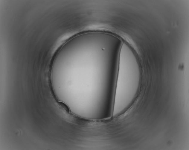 X0000093231277200709261501