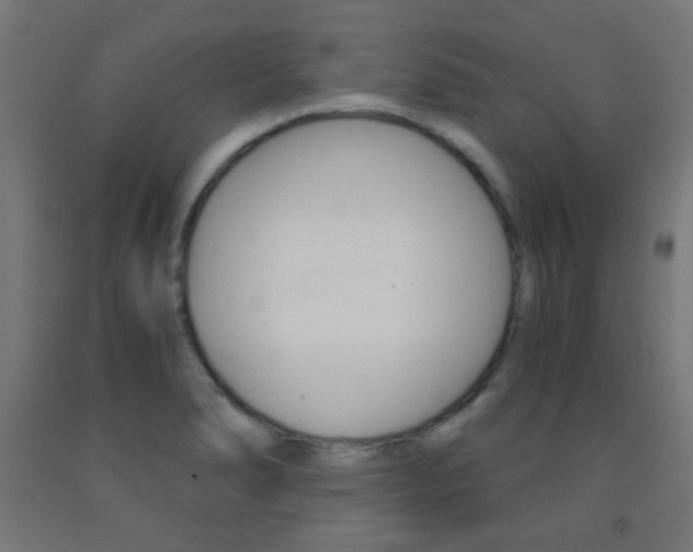 X0000093231278200709261501