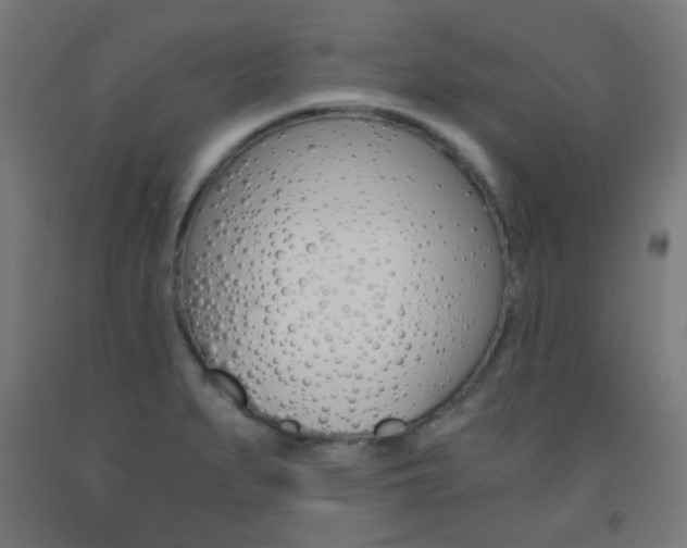 X0000093231279200709261501