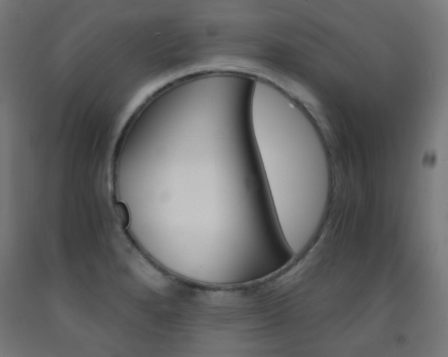 X0000093231280200709261501
