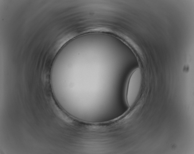 X0000093231281200709261501