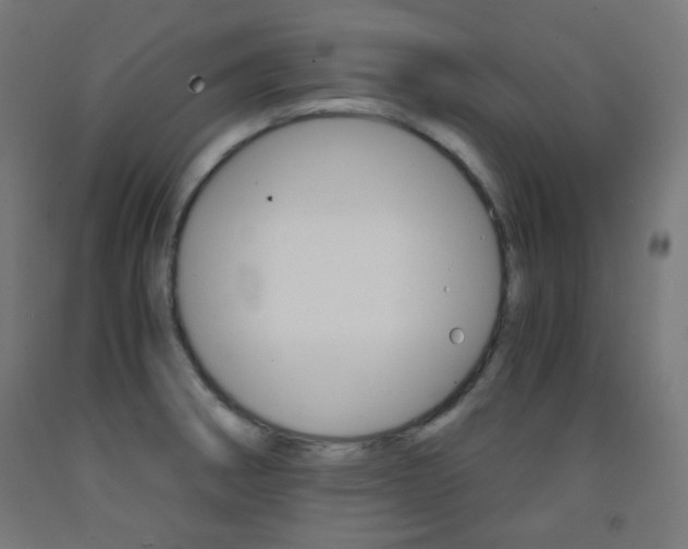 X0000093231282200709261501