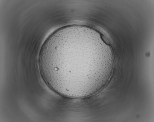 X0000093231283200709261501