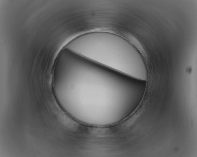 X0000093231284200709261501