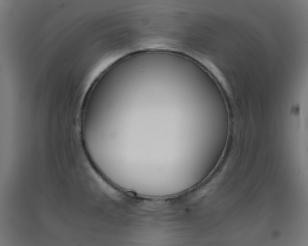 X0000093231285200709261501