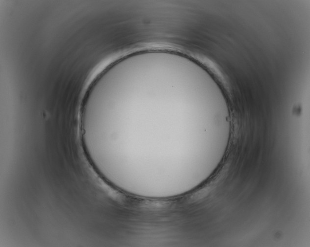 X0000093231286200709261501