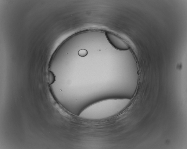 X0000093231287200709261501