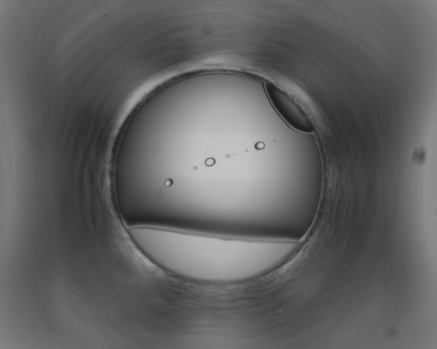 X0000093231288200709261501