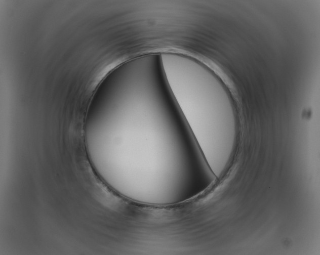 X0000093231289200709261501
