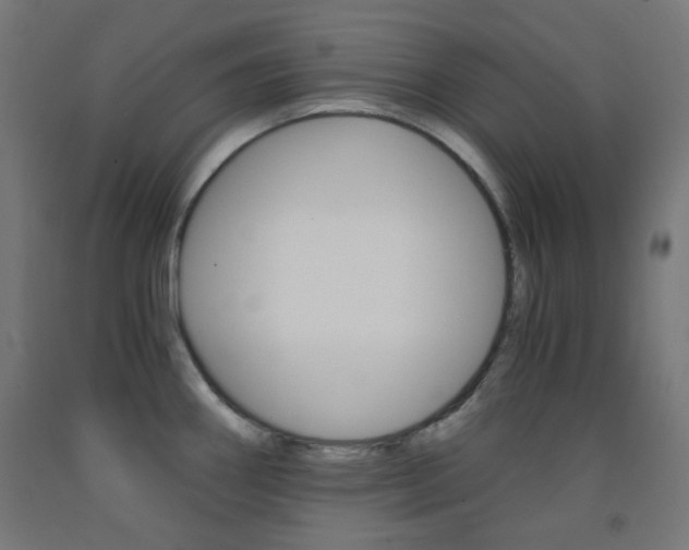 X0000093231290200709261501