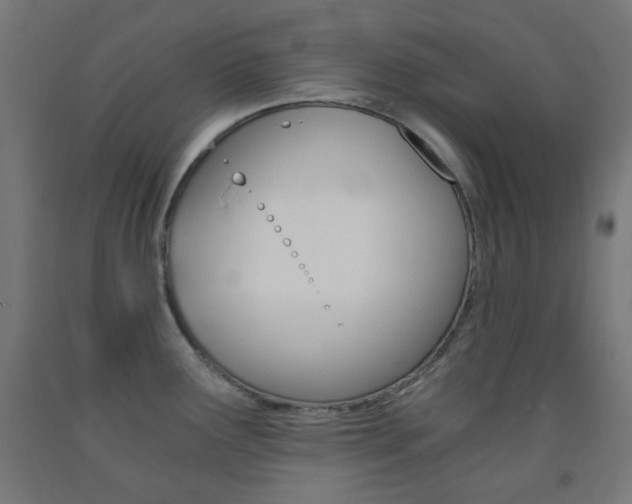 X0000093231291200709261501