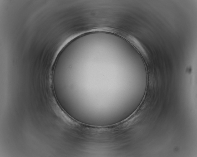 X0000093231292200709261501
