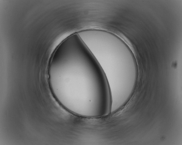 X0000093231293200709261501
