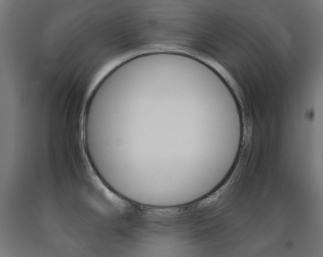 X0000093231294200709261501