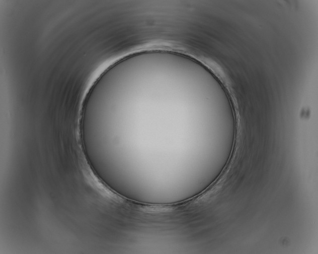X0000093231296200709261501