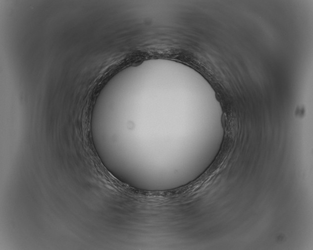 X0000093231297200709261501