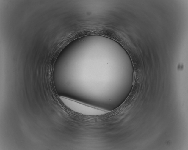 X0000093231298200709261501