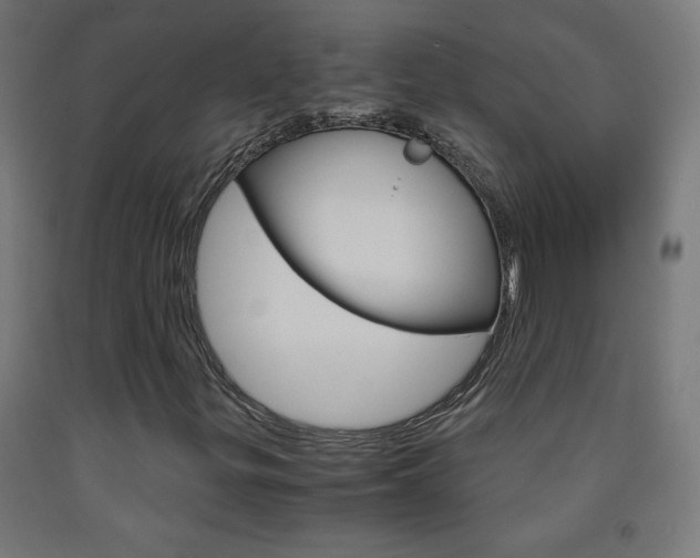X0000093231299200709261501