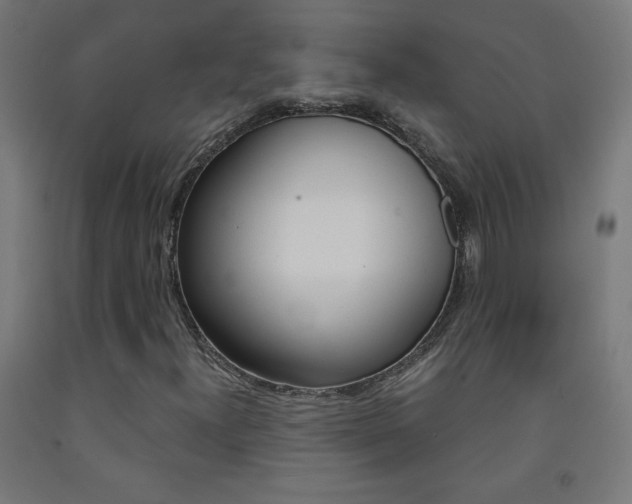 X0000093231300200709261501