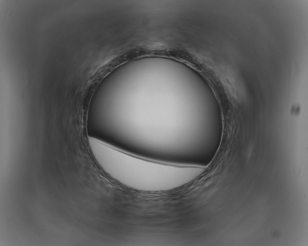 X0000093231301200709261501