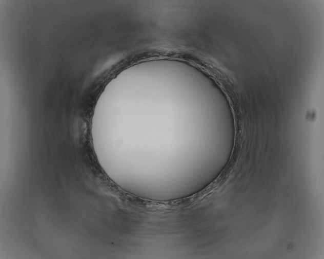 X0000093231302200709261501