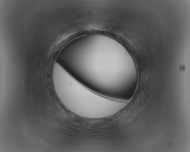 X0000093231303200709261501